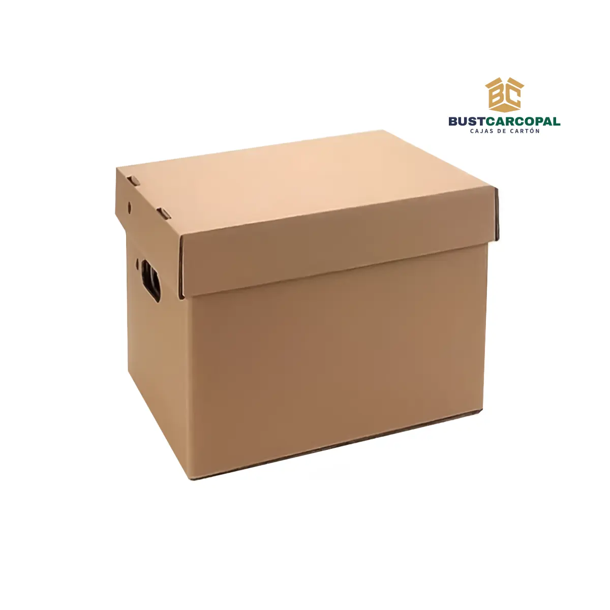 Cajas Archivadoras