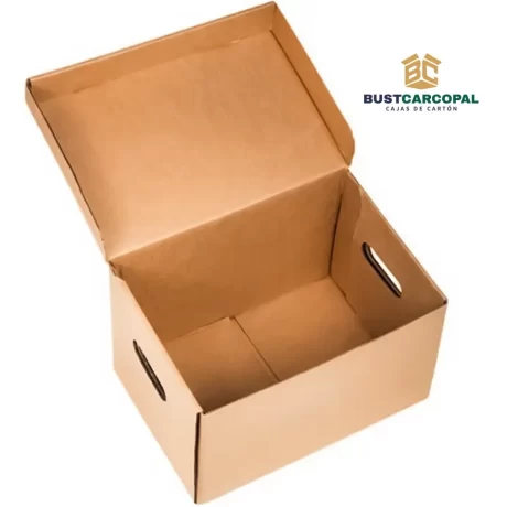 Cajas Archivadoras