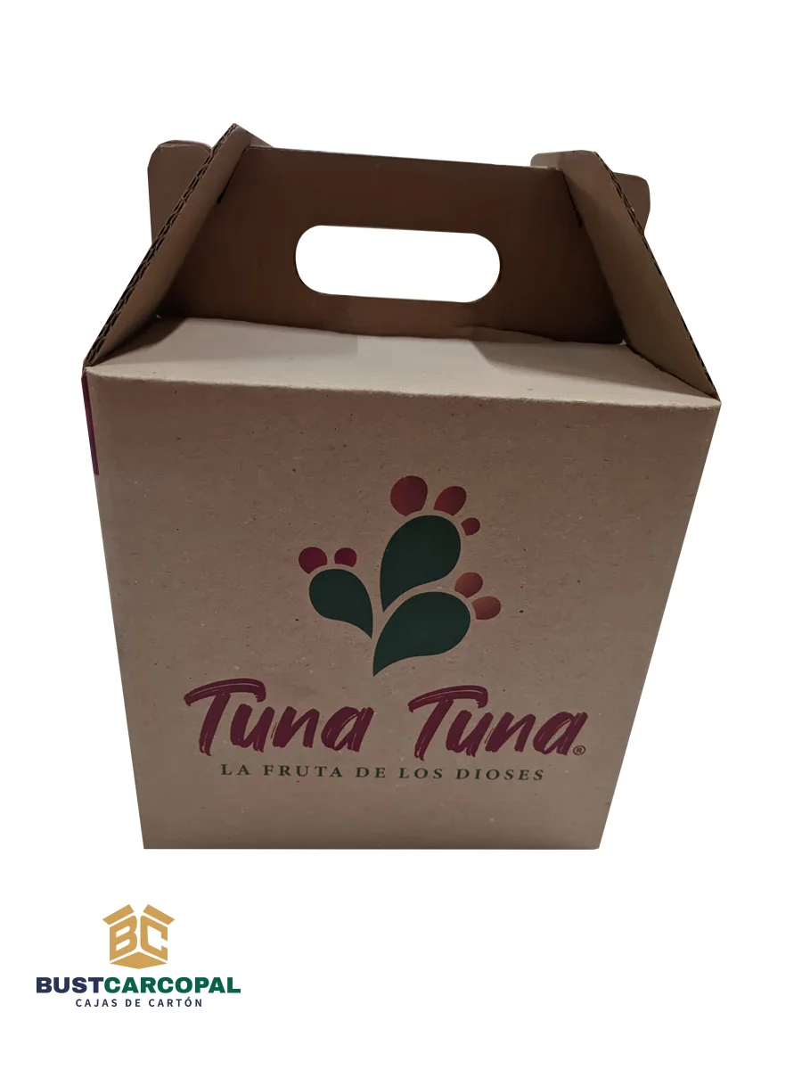Cajas Lonchera