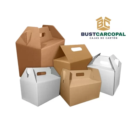 Cajas Lonchera